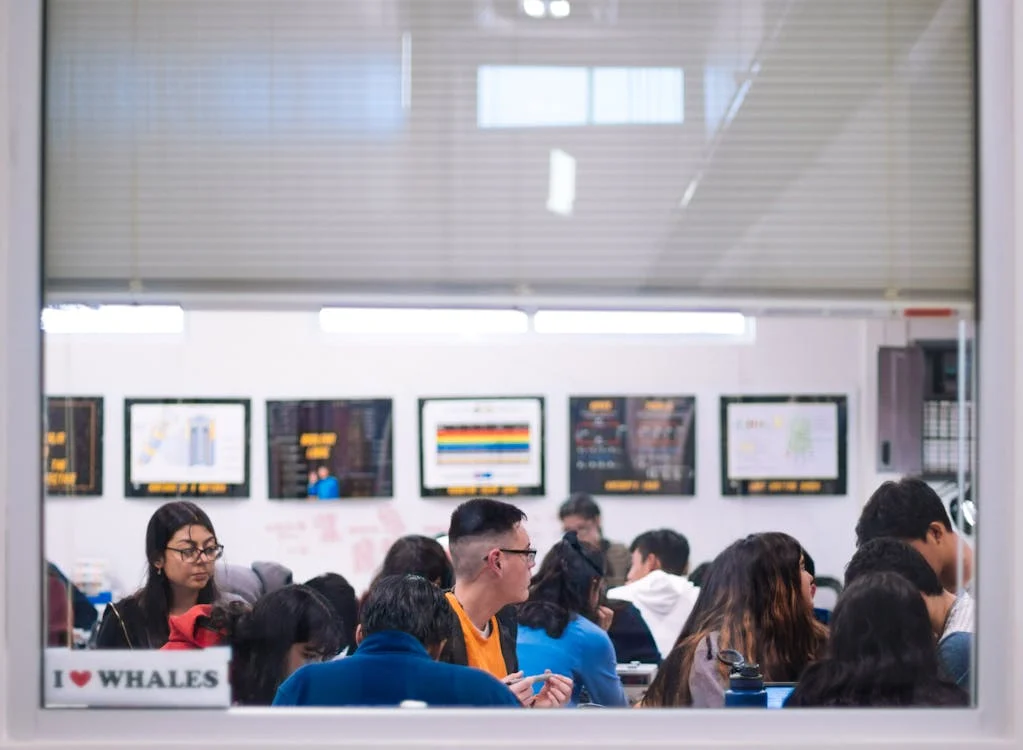 Em 2024, estudantes buscam novos métodos para estudar 1 métodos para estudar